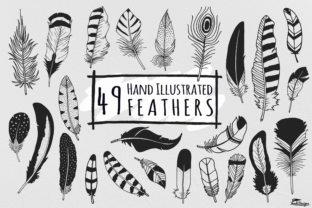 Download Hand Illustrated Feathers - Premium Resources