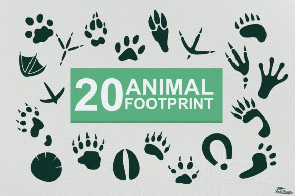 Download Animal Footprints Vector - Premium Resources