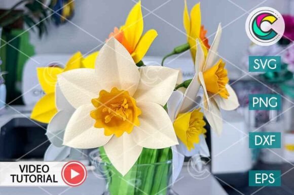 Download Daffodil Flower SVG - Daffodil flower Collection