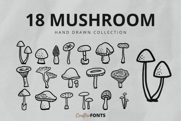 Download Hand Drawn Mushroom - Premium Resources